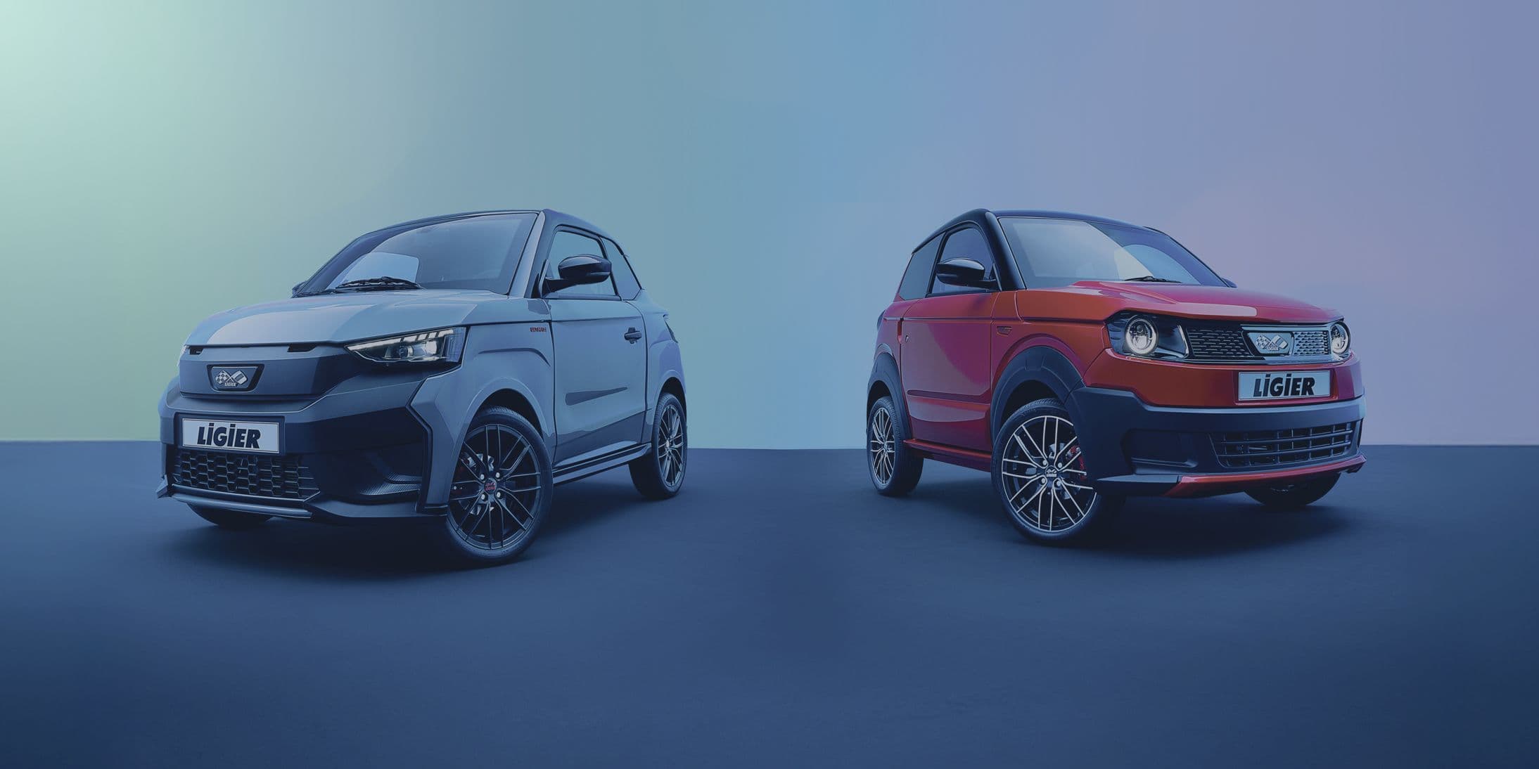 Restez mobile avec Ligier Rent !